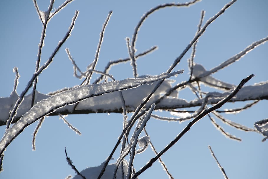 Winter, Snow, Wintry, Nature, Light, shadow, snow landscape HD wallpaper