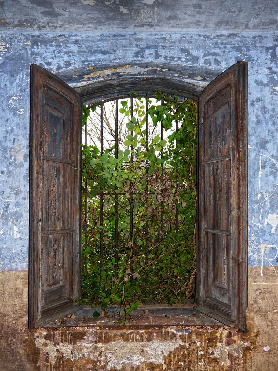 Window, Ruin, Abandoned, Balusters, vegetation, blue, house abandoned HD wallpaper