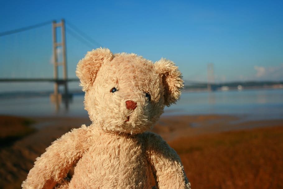 teddy bear, toy, cute, love, soft, brown, childhood, furry HD wallpaper