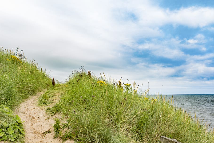 pathway between green grass filed beside body of water, aberdeen HD wallpaper