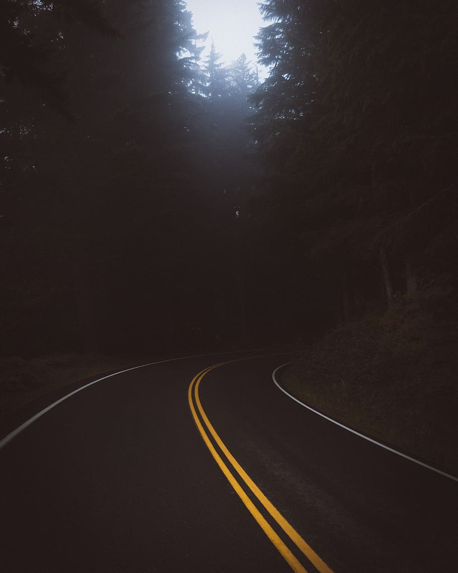 HD wallpaper: dark, road, travel, trees, plant, the way forward ...