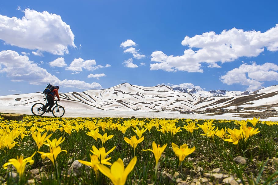 Biker going past Mountain landscape with flowers, clouds, cyclist HD wallpaper