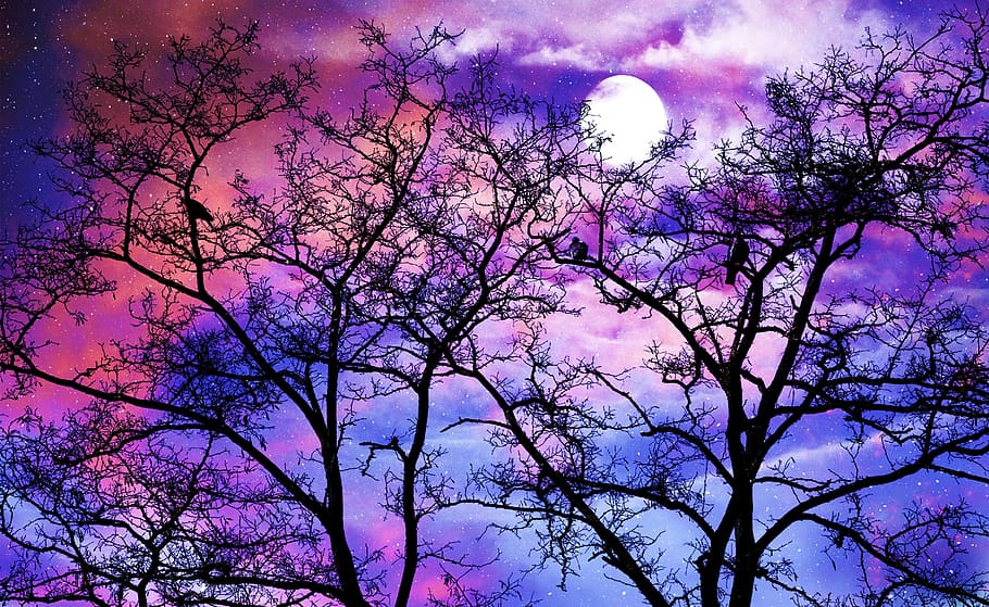 nature, moon, moonlit night, sky, clouds, dreams, landscape, HD wallpaper