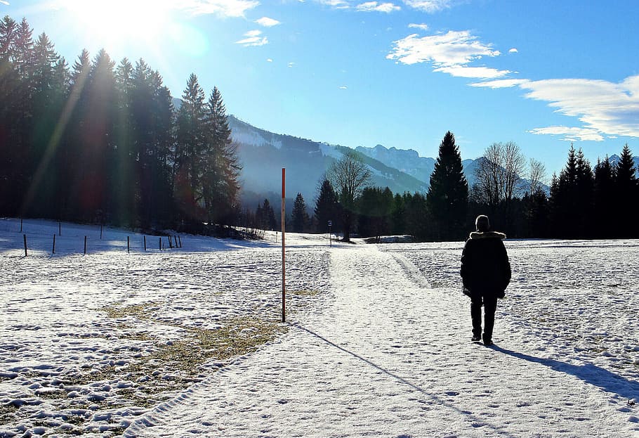 winter, wintry, snow, away, walk, person, human, silhouette HD wallpaper