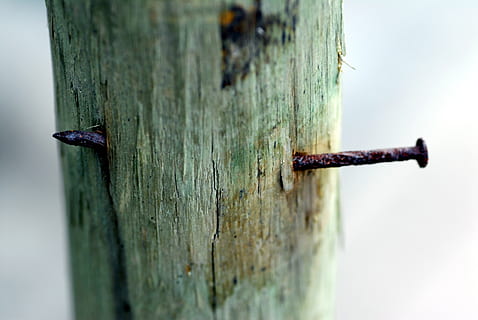 tip, oxide, trunk, nail, wood - material, close-up, no people HD wallpaper