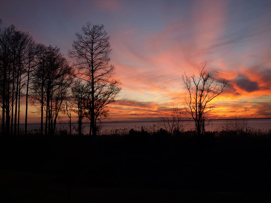 sunset, evening, dusk, landscape, trees, silhouette, sky, colorful HD wallpaper