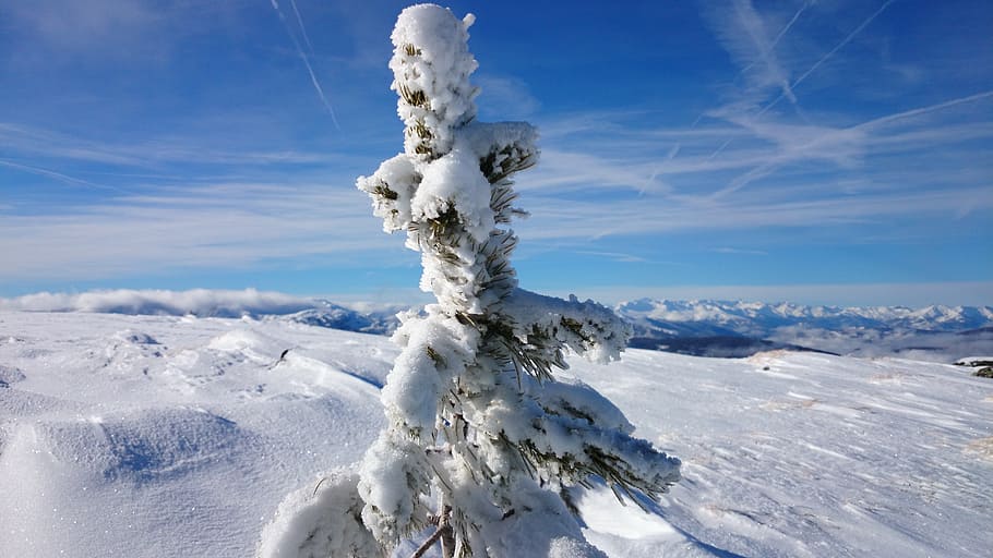 winter, mountains, snow, austria, wintry, alpine, ski run, cold temperature HD wallpaper