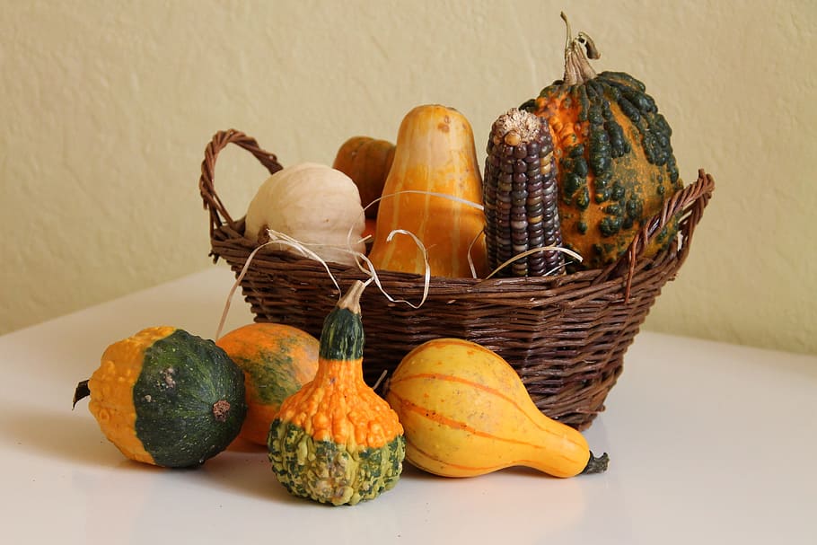 Decorative, Squashes, Pumpkin, Crop, decorative squashes, basket HD wallpaper