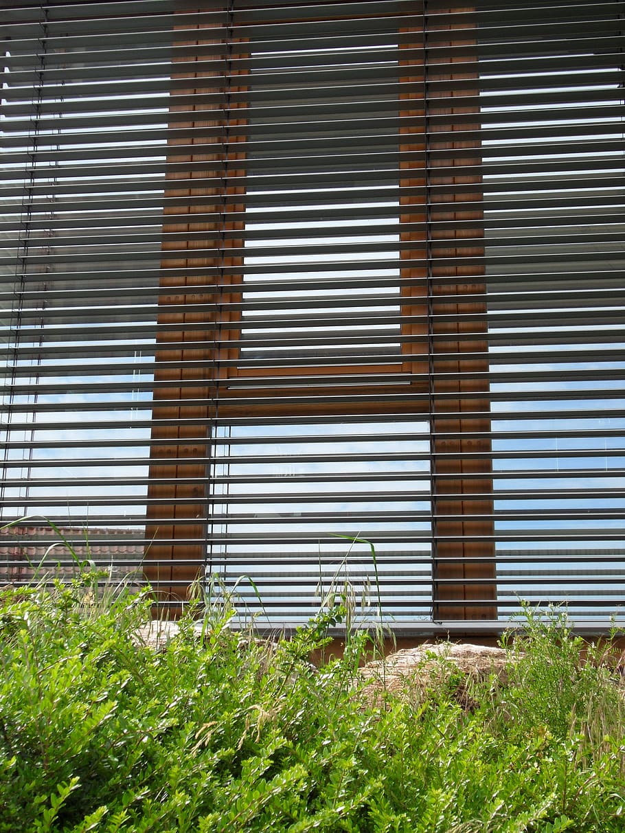 blinds, window, facade, plant, architecture, shutter, closed HD wallpaper