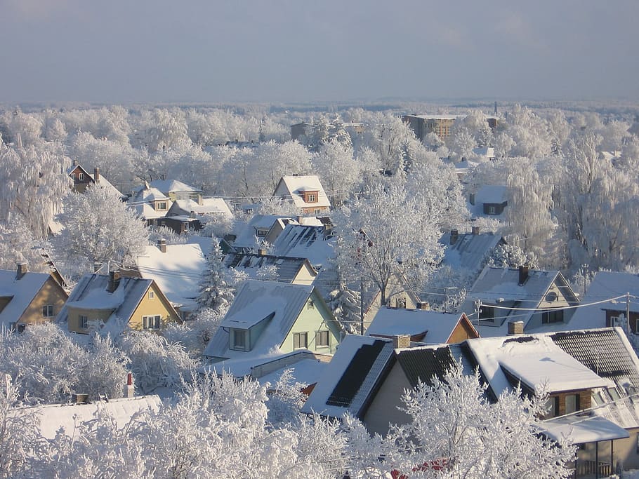 Winter, Snow, Cold, Nature, Frost, winter landscape, estonia winter HD wallpaper