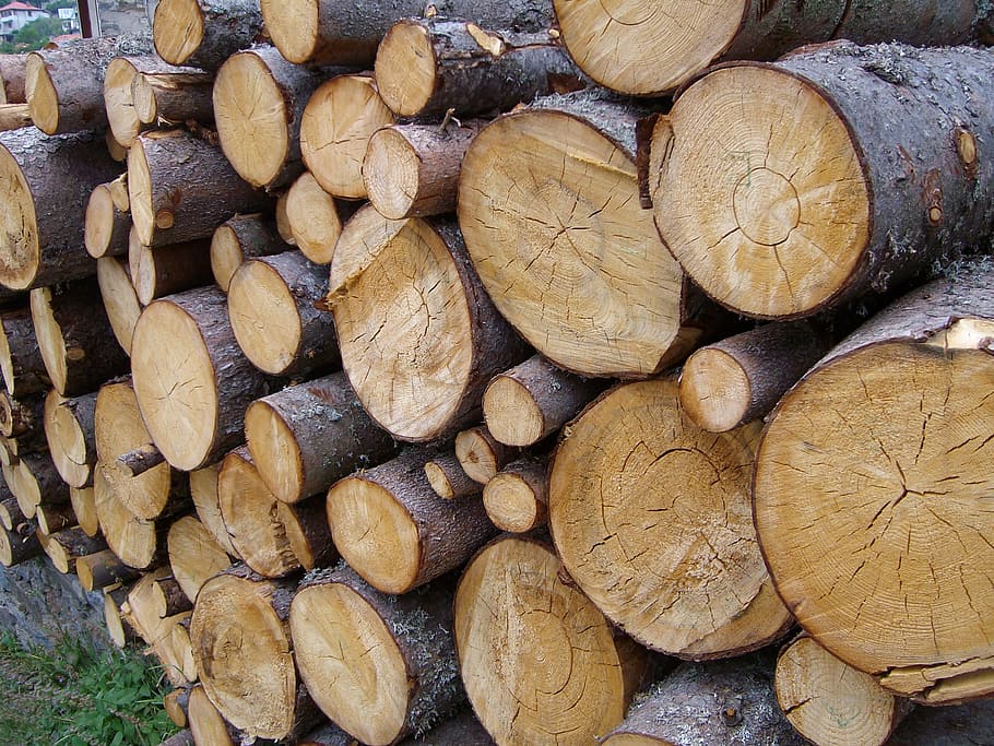 wood, timber, logging, material, hardwood, texture, brown, backdrop HD wallpaper