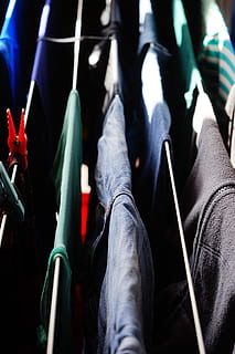 Laundry, Clothes Peg, Clip, Hang, budget, people, indoors, close-up HD wallpaper