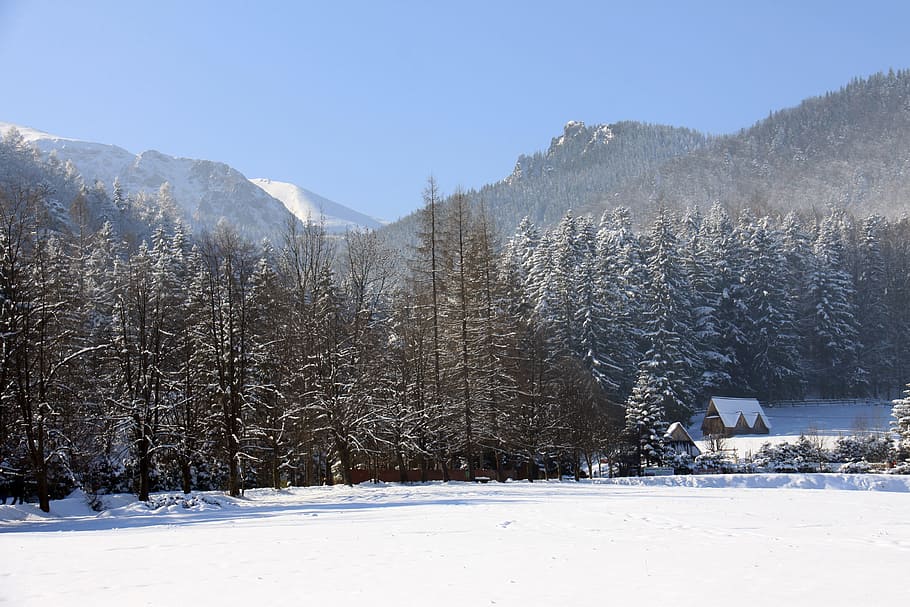 snow, winter, cold, mountains, a view of the mountains, landscape HD wallpaper