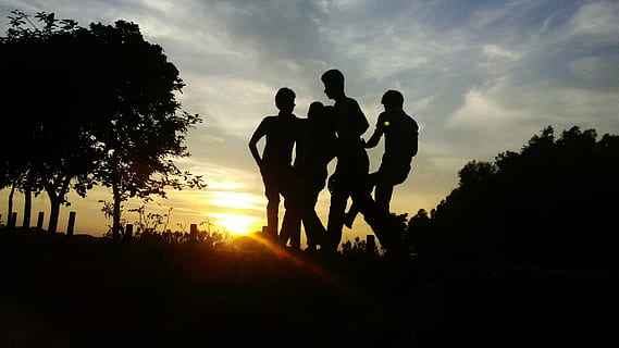 walton, mobile, hm, silhouette, sky, tree, sunset, nature, togetherness HD wallpaper
