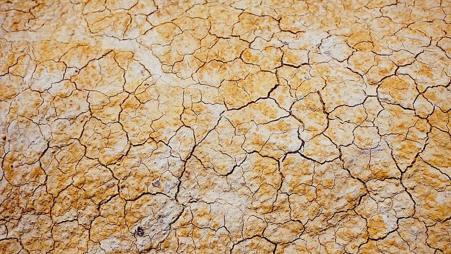 photo of dried brown soil, closeup photo of cracked brown surface HD wallpaper