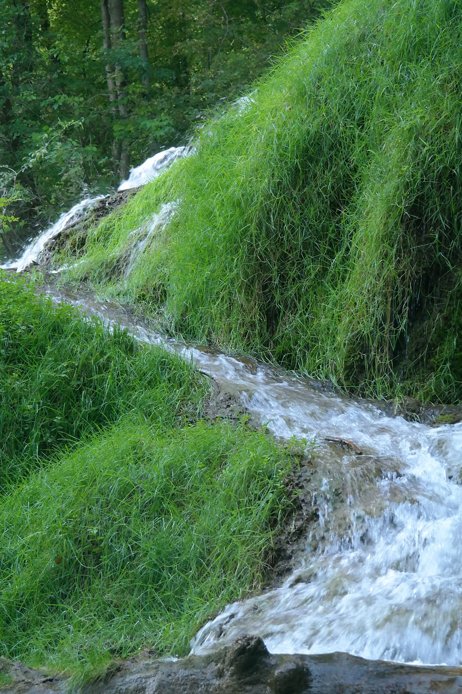 Hd Wallpaper Brook Water Flow Murmur Great Brook Idyllic Green Haunting Wallpaper Flare 4143