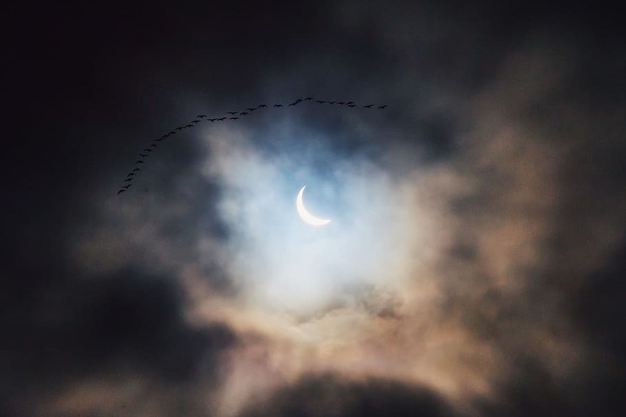 crescent moon, worms eye photography of crescent moon, Solar eclipse HD wallpaper